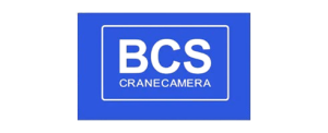 Accueil logo bcs removebg preview